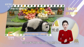 欧美夜夜